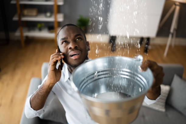 Best Ceiling water damage repair  in Rosedale, CA