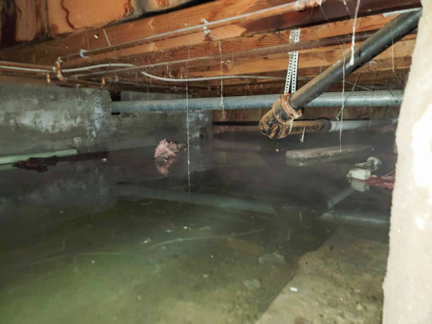 Carpet water damage restoration in Rosedale, CA