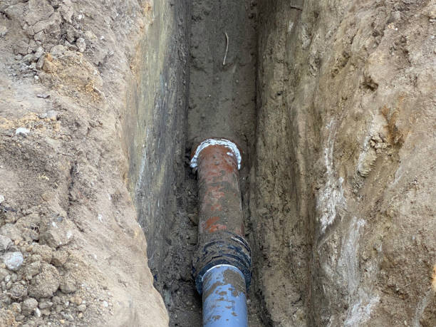 Best Sewage cleanup and water damage restoration  in Rosedale, CA