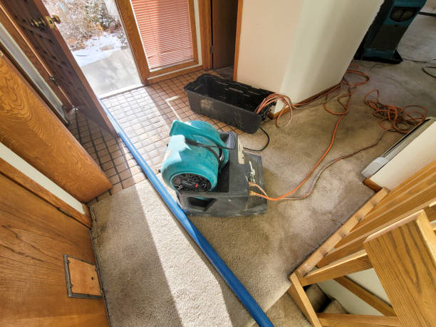 Best Mold removal after water damage  in Rosedale, CA