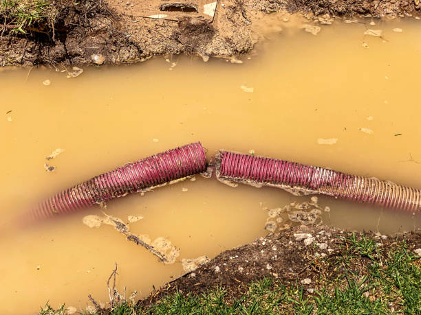 Rosedale, CA Water damage restoration Company