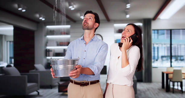 Best Professional water damage repair  in Rosedale, CA