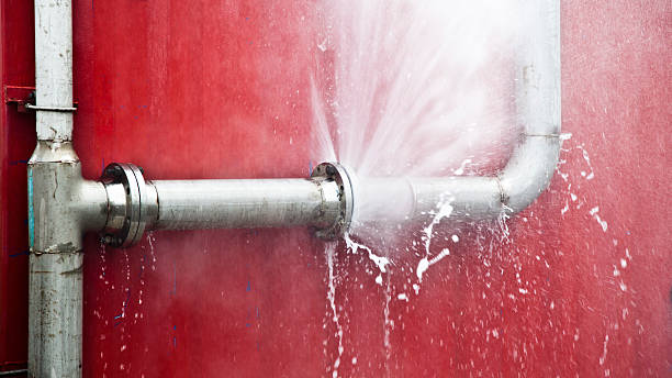 Best Mold removal after water damage  in Rosedale, CA