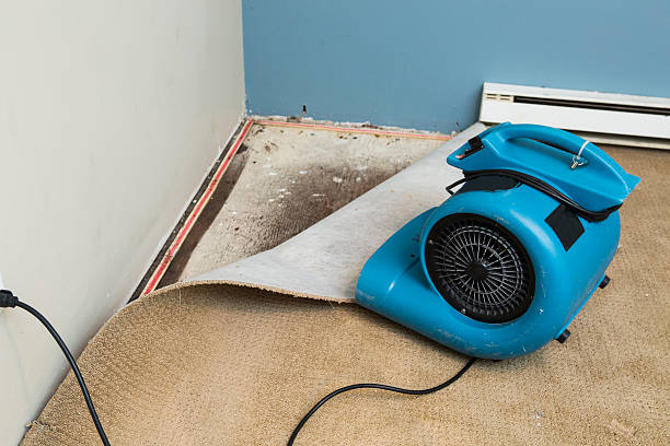 Best Water damage repair service  in Rosedale, CA